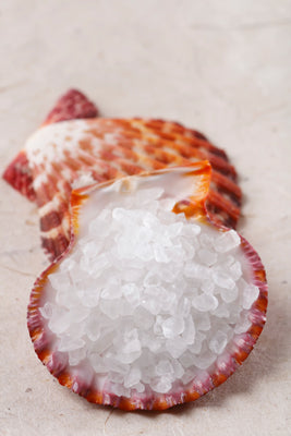 Sea Salt on Shell