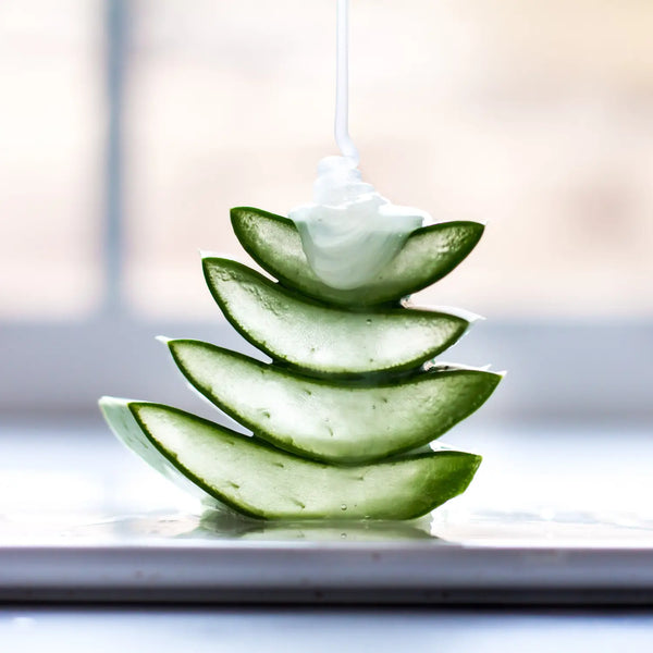 7 Aloe Vera Skin Benefits That Will Amaze You