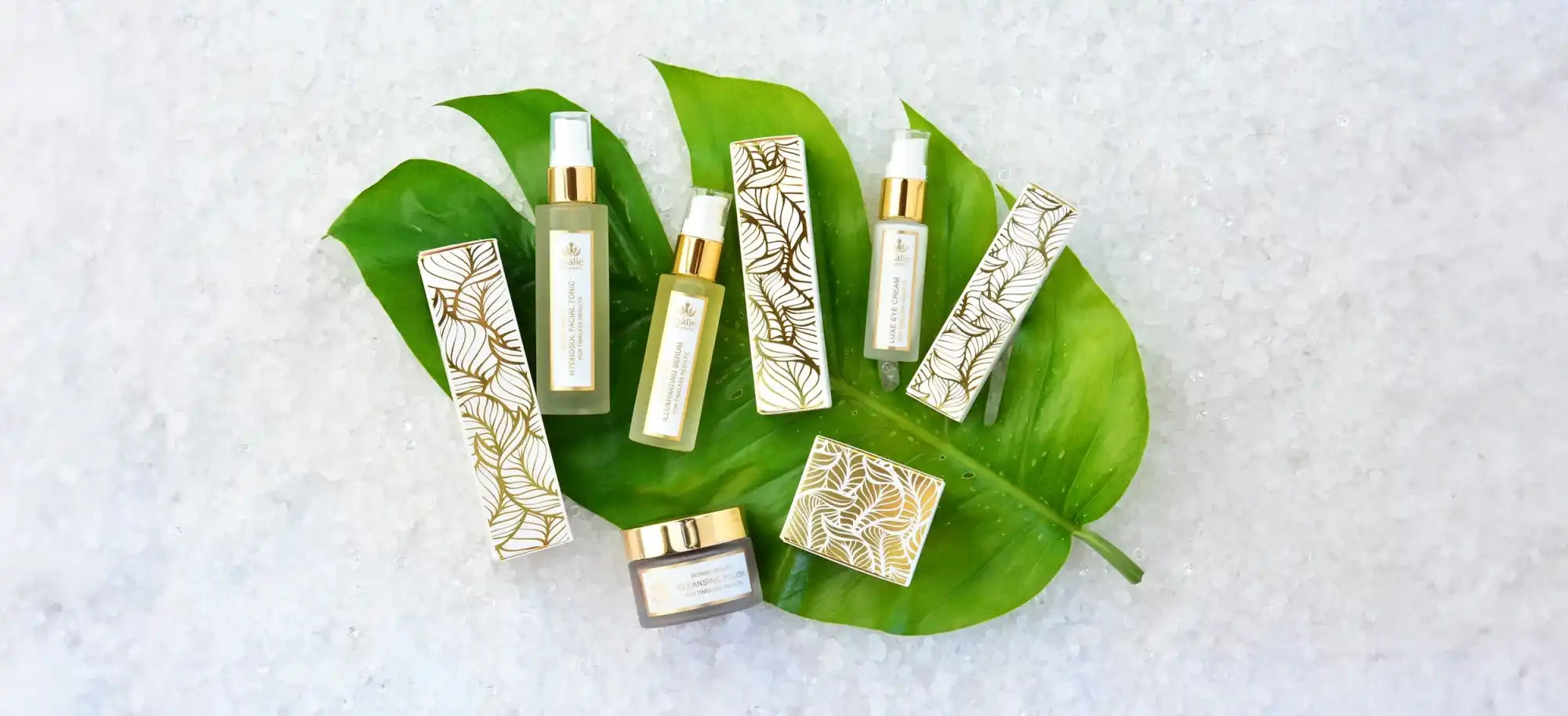 Beauty or skincare products arranged on a green tropical leaf.