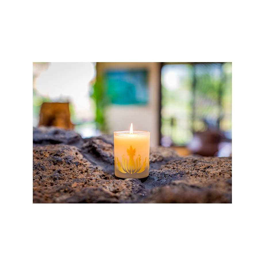 mango nectar soy candle - Home