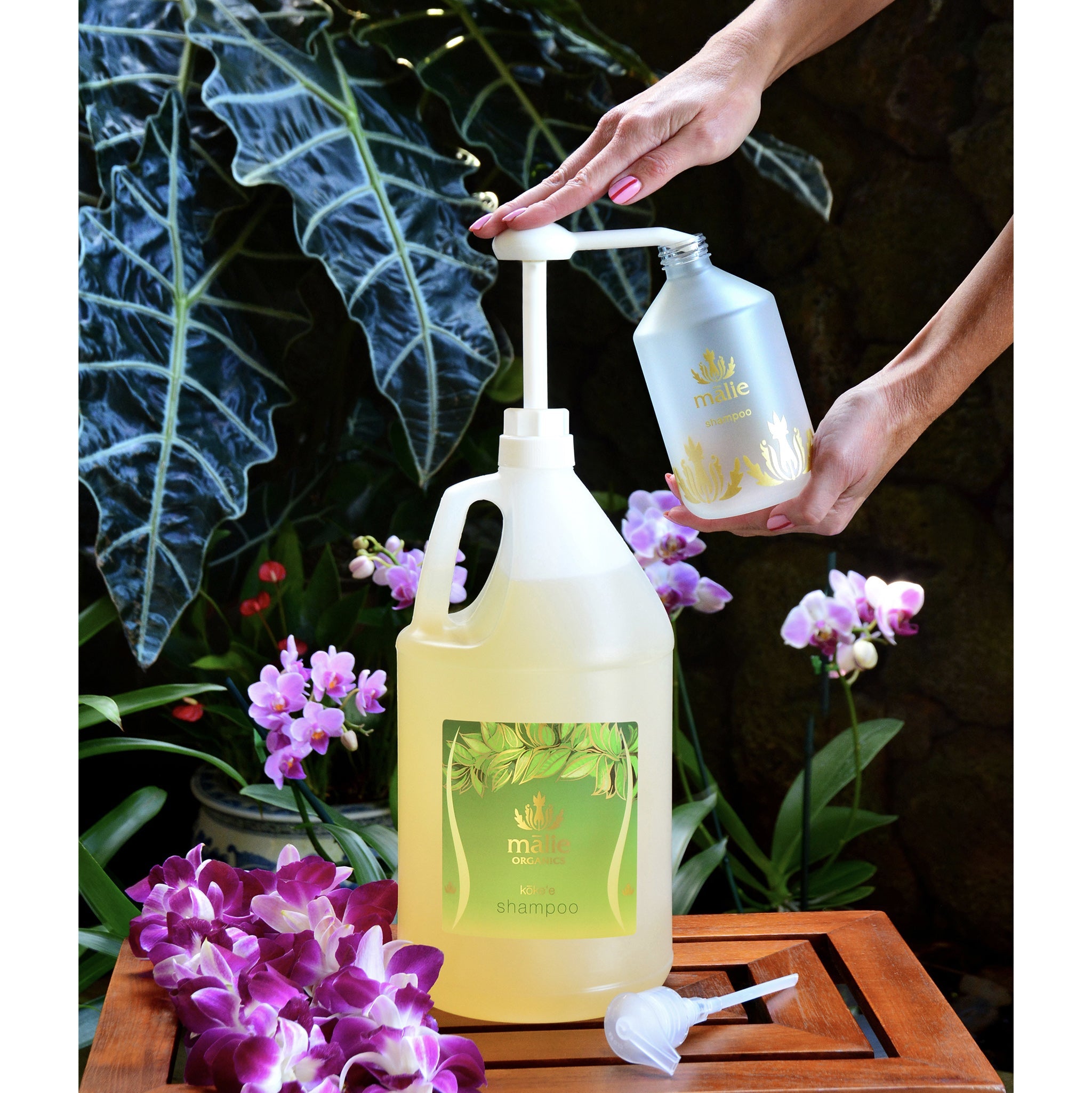 koke’e shampoo gallon - Eco-Refill