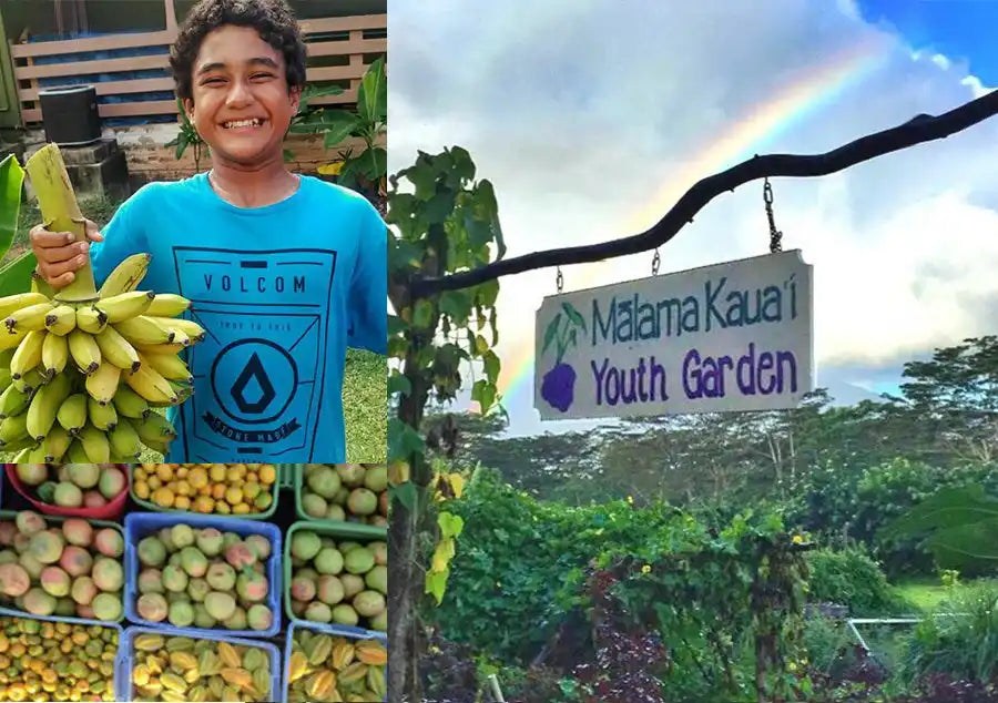 A split image showing fresh tropical fruits and produce alongside a ’Malama Kauai Youth Garden’ sign.