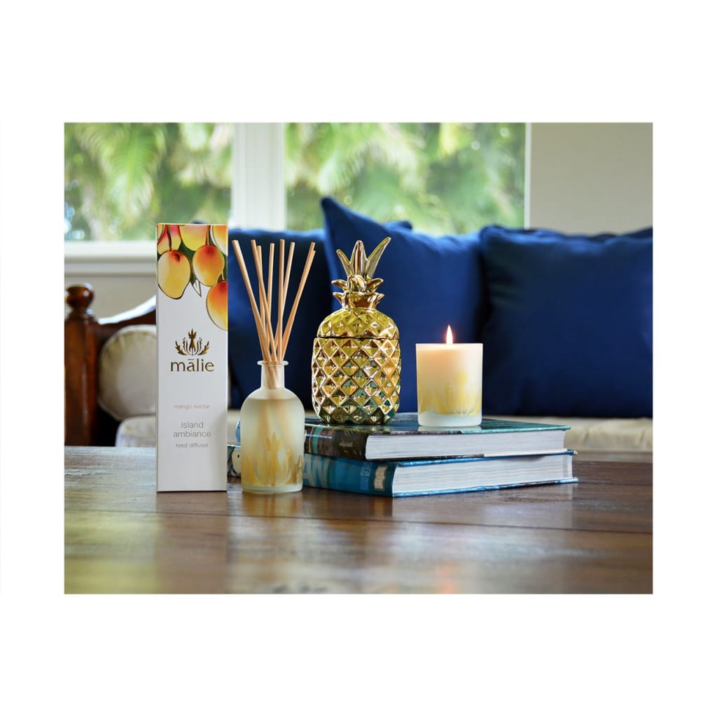 mango nectar island ambiance reed diffuser - Home